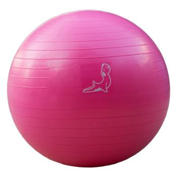 65 cm Pembe Egzersiz Topu
