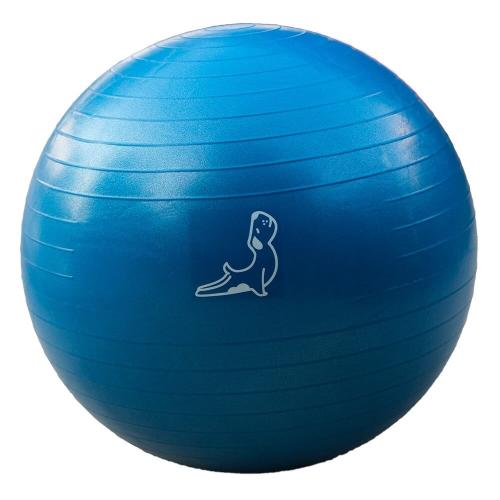 65 cm Mavi Egzersiz Topu